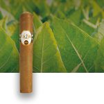 Single Oliva Connecticut Reserve cigar with a tobacco field in the background, showcasing its smooth Connecticut Shade wrapper