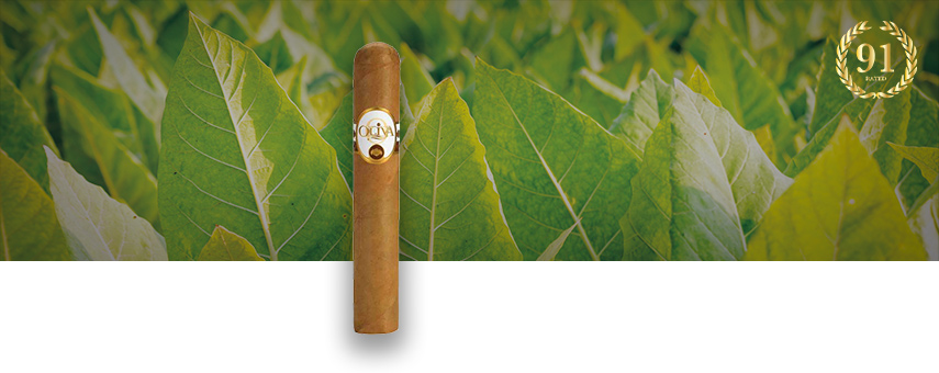 Single Oliva Connecticut Reserve cigar with a tobacco field in the background, showcasing its smooth Connecticut Shade wrapper