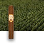 Oliva Serie O cigar resting with a lush tobacco field in the background, showcasing its premium craftsmanship