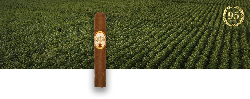 Oliva Serie O cigar resting with a lush tobacco field in the background, showcasing its premium craftsmanship