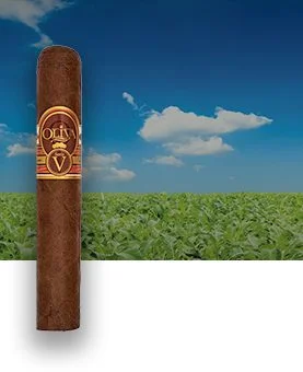 Oliva Serie V cigar placed in front of a cigar field, showcasing its premium craftsmanship and bold flavor.
