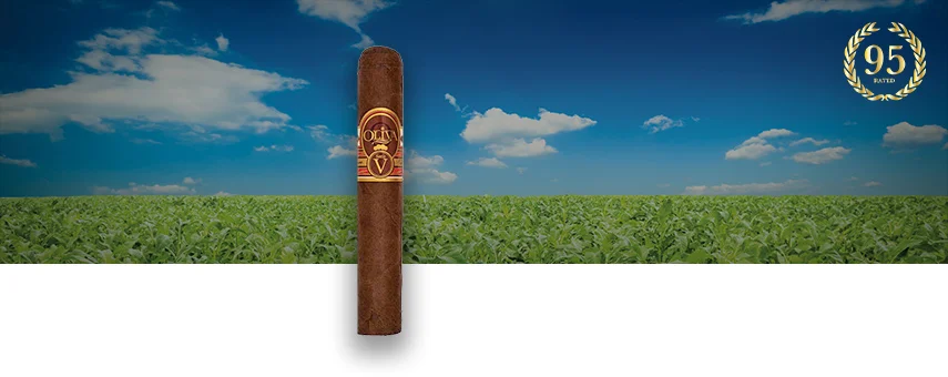 Oliva Serie V cigar placed in front of a cigar field, showcasing its premium craftsmanship and bold flavor.
