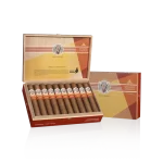 Open box of AVO Synchro Nicaragua Fogata cigars showing detailed bands and rich, dark wrappers.