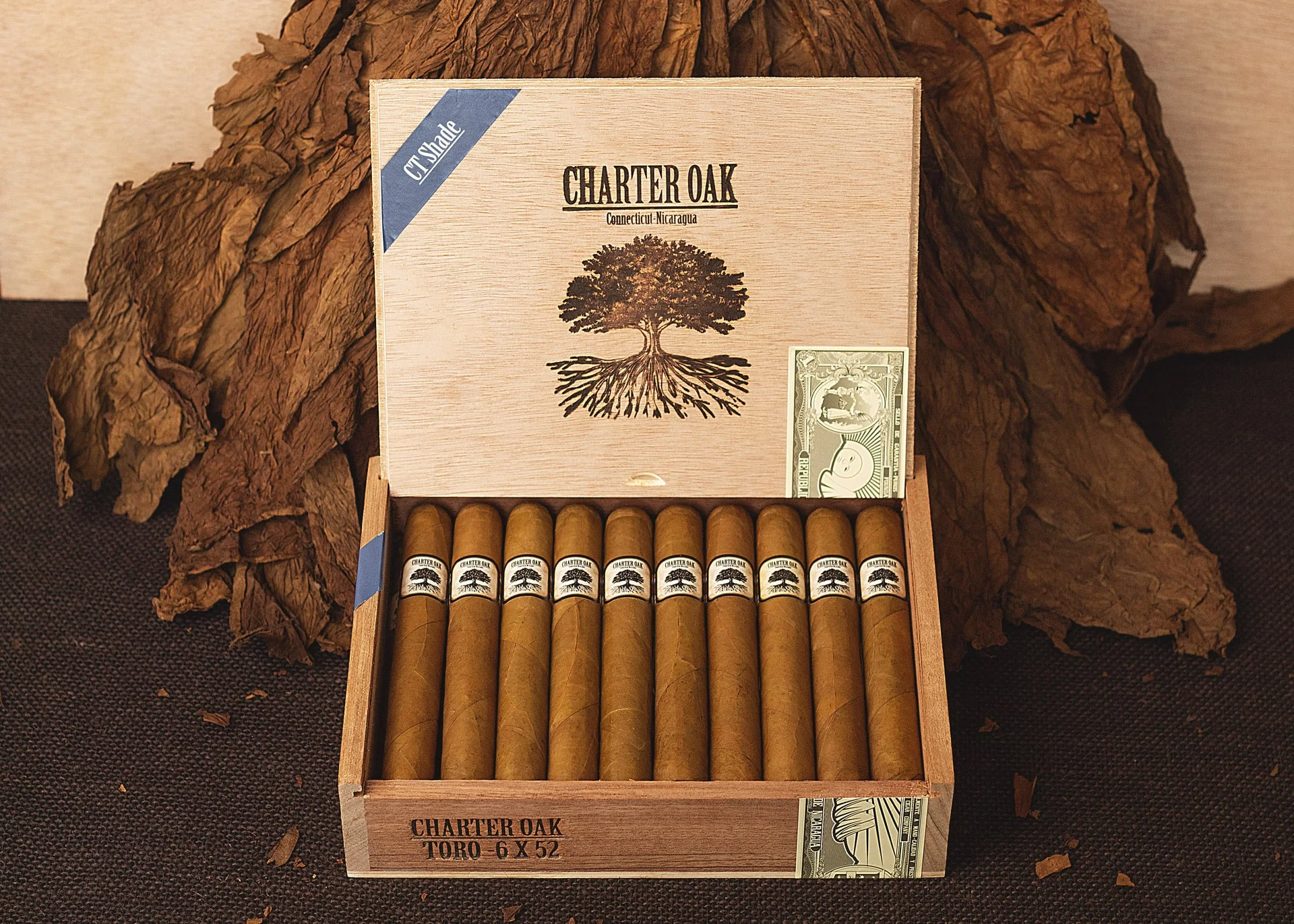 Open box of Charter Oak Connecticut cigars resting on a bed of tobacco leaves, showcasing silky golden wrappers and elegant presentation