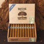 Open box of Charter Oak Connecticut cigars resting on a bed of tobacco leaves, showcasing silky golden wrappers and elegant presentation
