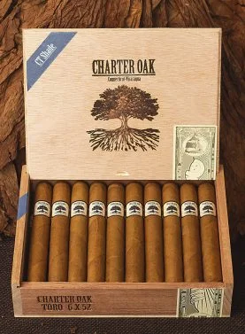 Open box of Charter Oak Connecticut cigars resting on a bed of tobacco leaves, showcasing silky golden wrappers and elegant presentation