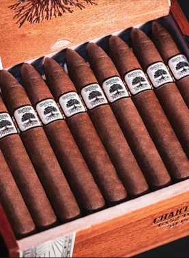 Open box of Charter Oak Habano cigars, featuring rich, golden-brown wrappers neatly arranged in a rustic wooden box