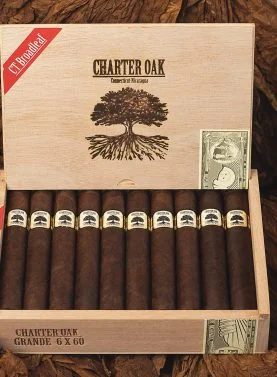 Open box of Charter Oak Maduro cigars resting on rich tobacco leaves, showcasing dark, oily wrappers and expert craftsmanship