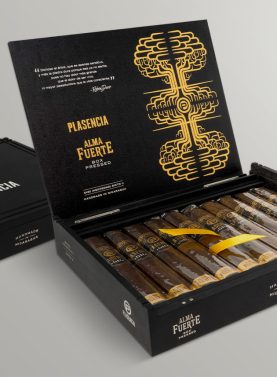 Plasencia Alma Fuerte Cigar, showcasing its dark, oily wrapper and premium craftsmanship