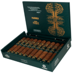 An open box of Plasencia Alma Fuerte Natural cigars, displaying their rich, oily wrappers and elegant cigar bands