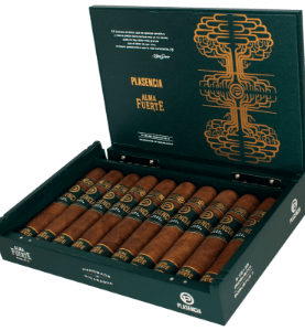 An open box of Plasencia Alma Fuerte Natural cigars, displaying their rich, oily wrappers and elegant cigar bands