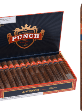 Open box of Punch Clasico Maduro cigars with dark, oily wrappers and bold red and gold bands.