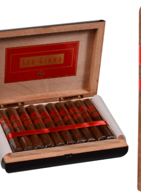 Open box of Rocky Patel Sun Grown cigars with rich brown wrappers arranged in cedar-lined packaging.