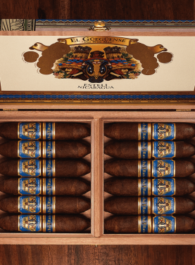 Open box of The Wise Man Corojo cigars, featuring smooth, reddish-brown wrappers neatly arranged in a premium wooden box.