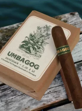 Single Umbagog cigar resting on a bundle of dark-wrapped cigars with rustic bands