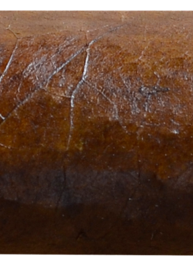 Quorum classic - short Robusto 3.5x50, Bundle