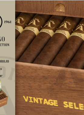 Open box of Aladino Vintage Selection cigars with golden-brown Corojo wrappers and classic bands