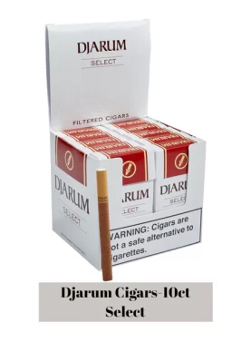 Djarum Filtered Cigars - Select