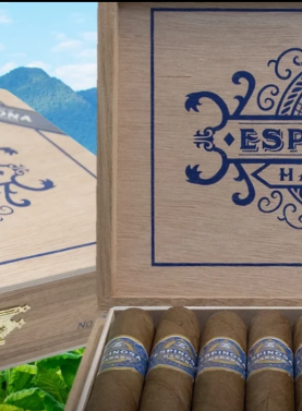 Open box of Espinoza Habano cigars, showcasing the vibrant, oily Habano wrappers and premium construction of each cigar neatly arranged inside