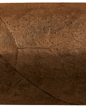 Quorum classic - Torpedo 6x52, Bundle