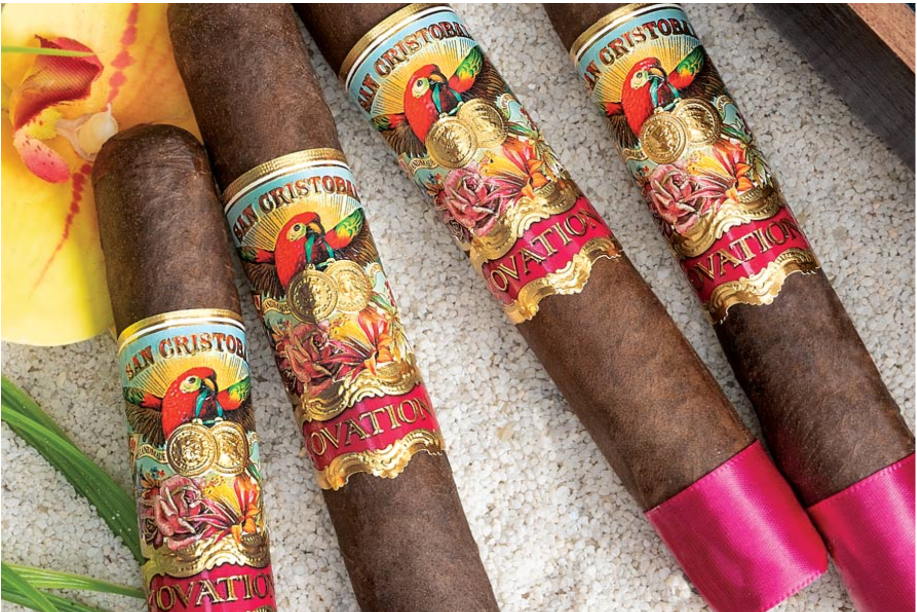 Four San Cristobal Ovation cigars resting side by side on a textured rock surface, showcasing their rich brown wrappers and ornate bands against a rugged natural backdrop