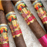 Four San Cristobal Ovation cigars resting side by side on a textured rock surface, showcasing their rich brown wrappers and ornate bands against a rugged natural backdrop