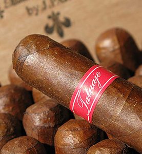 Tatuaje Havana VI cigar resting on a row of similar cigars