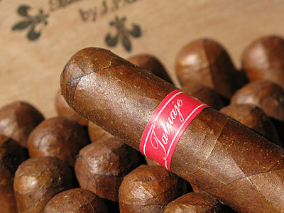 Tatuaje Havana VI cigar resting on a row of similar cigars