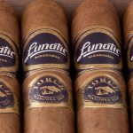 JFR lunatic Torch - Imagine 5.5x50, Pack of 5