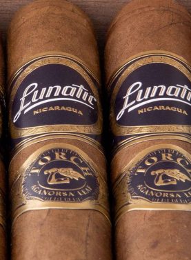 JFR lunatic Torch - Imagine 5.5x50, Pack of 5