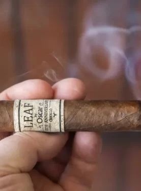 Leaf by Oscar cigar lit with rich smoke and vibrant ash