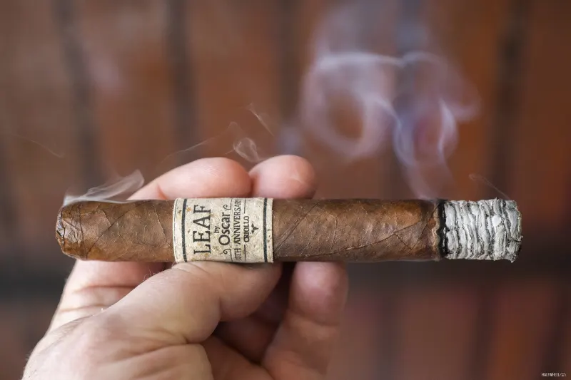 Leaf by Oscar cigar lit with rich smoke and vibrant ash