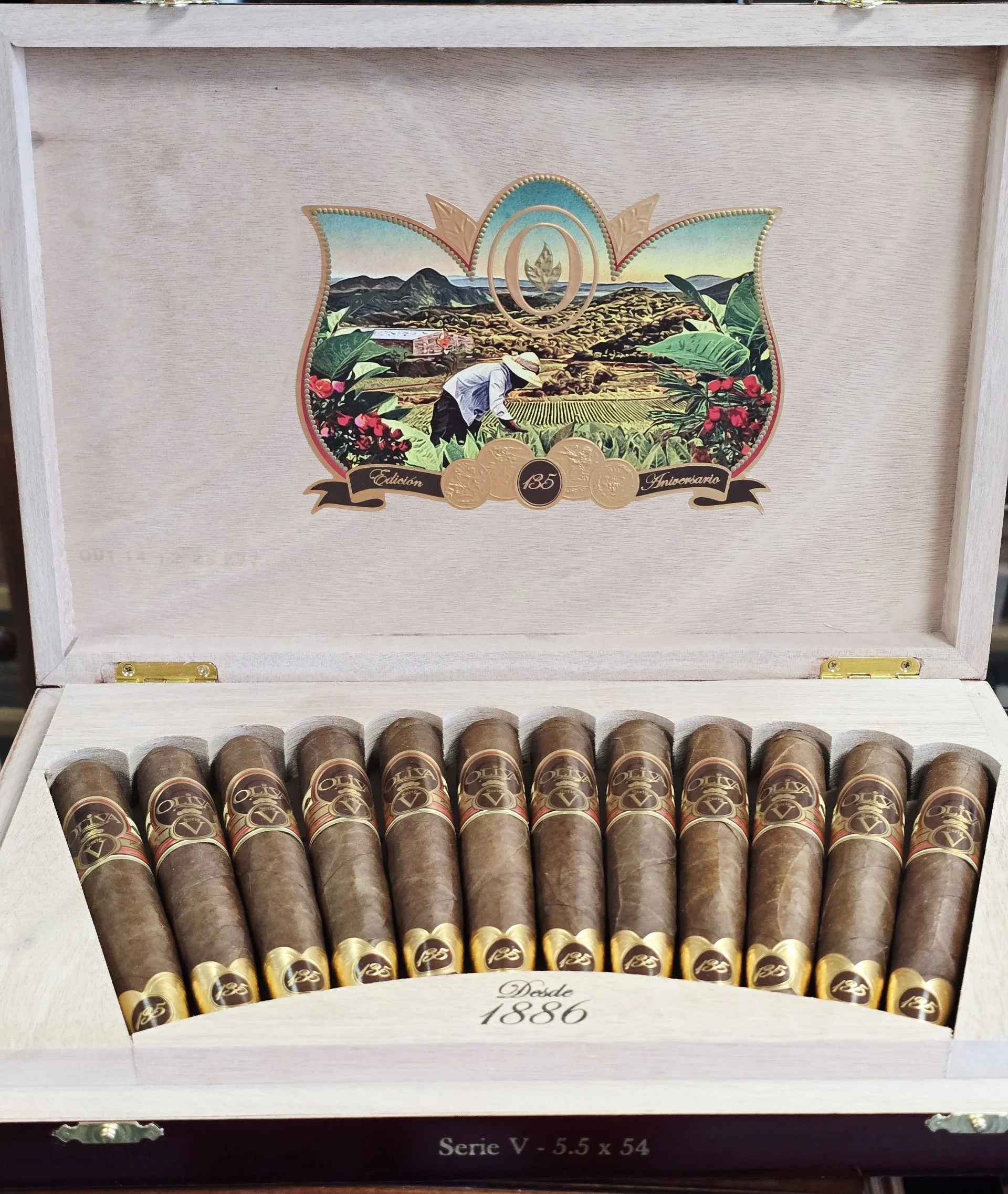 Oliva Serie V 135th Anniversary cigars displayed in an open, elegant box