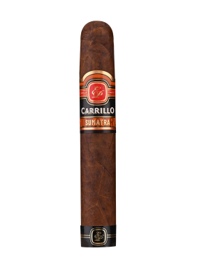 E.P. Carrillo Sumatra Gordo cigar with dark, oily wrapper