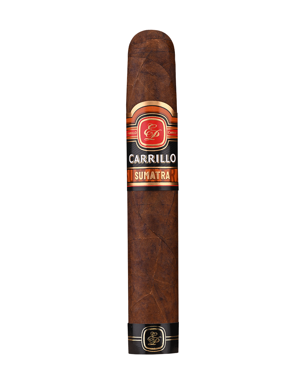 E.P. Carrillo Sumatra Gordo cigar with dark, oily wrapper