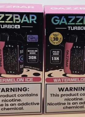 2 Pack Gazzbar Disposable Vape with 30,000 puffs, 28ml e-liquid, dual mesh coil, and 3D curved screen.