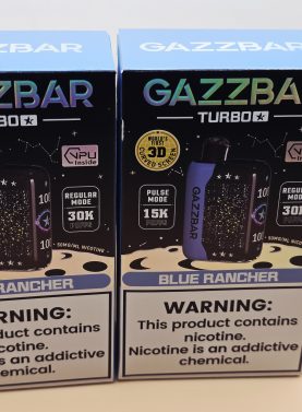 2 Pack Gazzbar Disposable Vape Blue Rancher flavor with 30,000 puffs, 28ml e-liquid, dual mesh coil, 800mAh quick-charge battery, and 3D curved screen.
