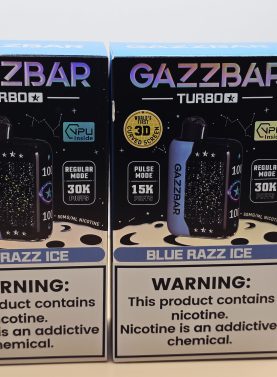 2 Pack Gazzbar Disposable Vape Blue Razz Ice flavor with 30,000 puffs, 28ml e-liquid, dual mesh coil, and 3D curved screen.