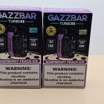 2 Pack Gazzbar Disposable Vape Raspberry Peach Ice flavor with 30,000 puffs, dual mesh coil, and quick charge battery.