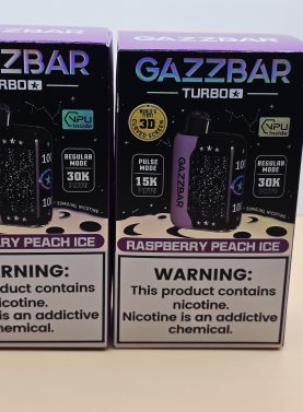 2 Pack Gazzbar Disposable Vape Raspberry Peach Ice flavor with 30,000 puffs, dual mesh coil, and quick charge battery.