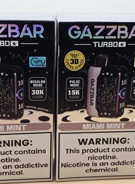 2 Pack Gazzbar Disposable Vape Miami Mint flavor with 30,000 puffs, 28ml e-liquid, dual mesh coil, 800mAh quick-charge battery, and 3D curved screen.